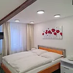 Grand Vltavin 게스트하우스 3*