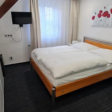 Gasthof Grand Vltavin 3*