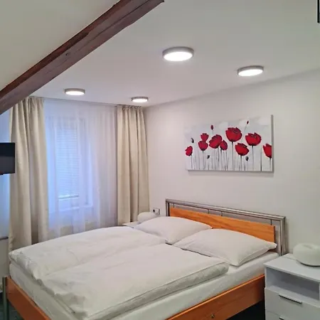 Gasthuis Grand Vltavin 3*