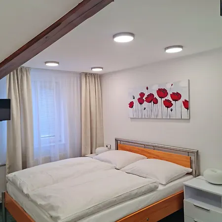 Grand Vltavin Gæstehus 3*